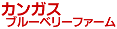 カンガス ブルーベリーファーム