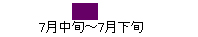 7月中旬から7月下旬