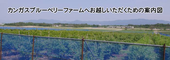 カンガスブルーベリーファームへお越しいただくための案内図